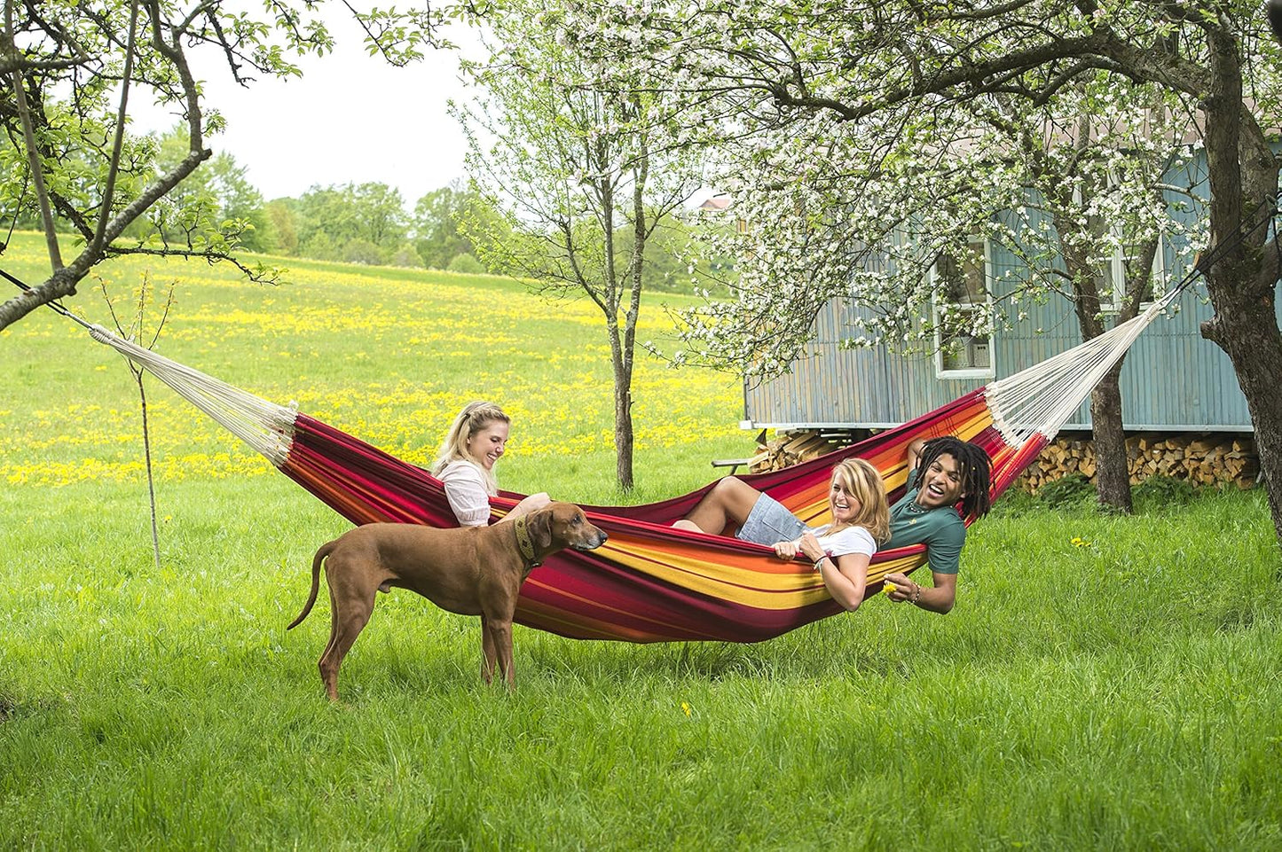 AZ-1025200 Gigante Hammock - Lava