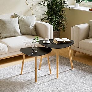 Coffee Table, Set of 2 Modern Living Room Table, Side Table, Coffee Table, Sofa Table, Table Combination for Living Room, Bedroom, Office, Balcony (Black)